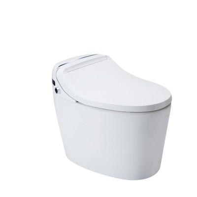 Bejoan one piece smart toilet bidet intelligent smart toilet tankless smart toilet