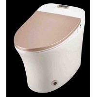 Automatic drying remote control smart soft toilet