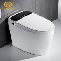 Ceramic concealed cistern electronic smart full automatic intelligent wc toilet with bidet price