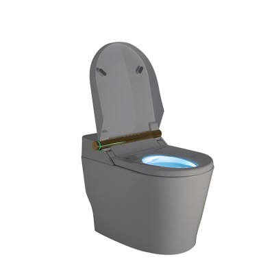 China Portable Automatic Flushing Smart Ceramic Wc Toilet