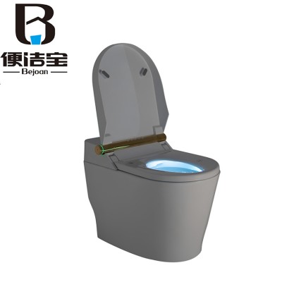 Seat Heating Automatic Flushing Smart Intelligent Seat Bidet Toilet Bowl